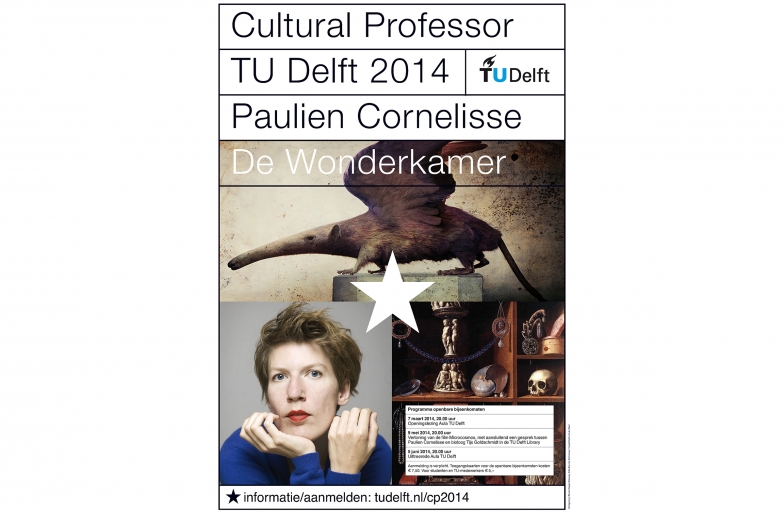 CP TUD 2014, Paulien Cornelisse, affiche A2